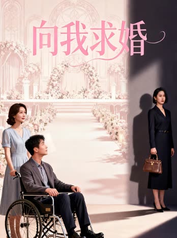 向我求婚封面