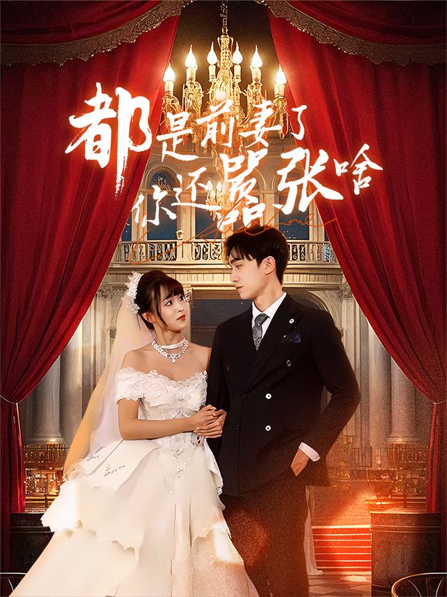 都是前妻了你还嚣张啥封面