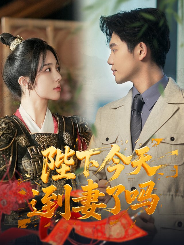 陛下今天追到妻了吗封面