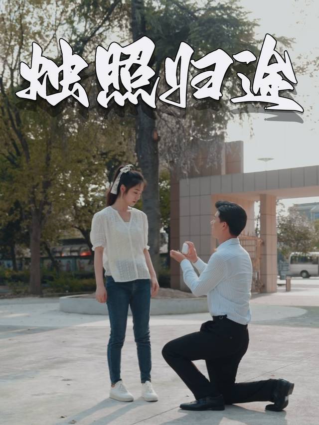 烛照归途封面