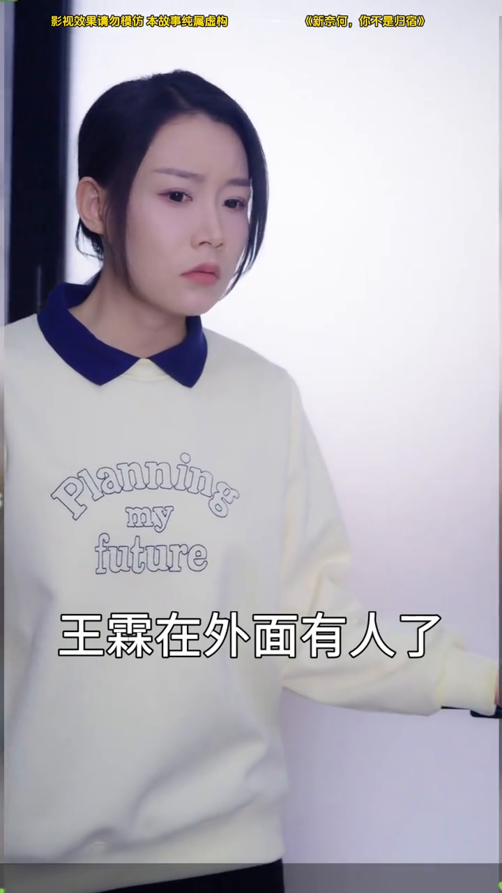 新奈何,你不是归宿封面