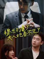 穆总别虐了夫人她看不见了封面