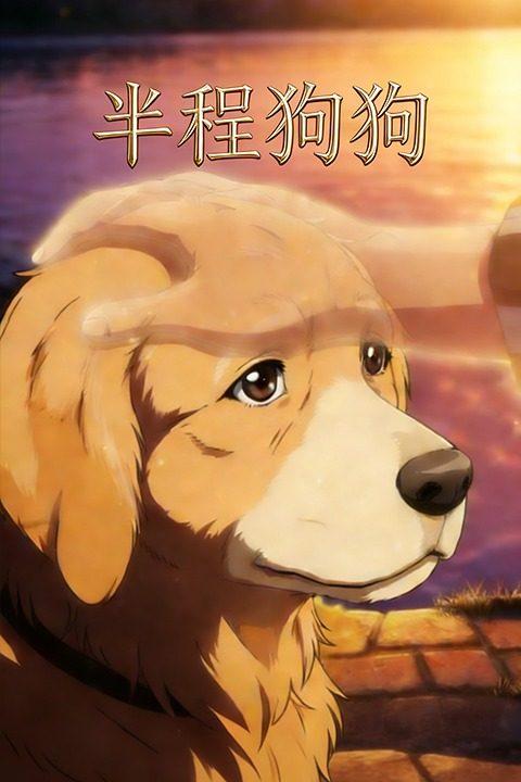 半程狗狗封面