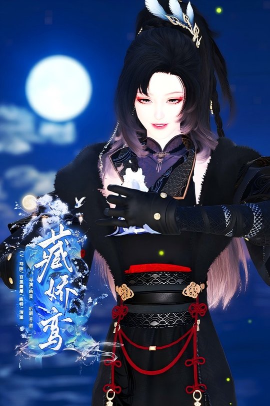 藏娇鸾封面