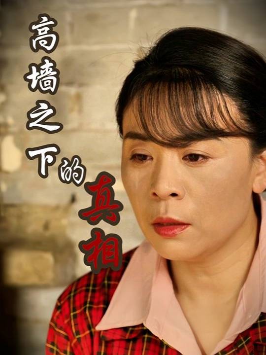 高墙之下的真相封面
