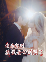 傻妻驾到:总裁老公别装了封面