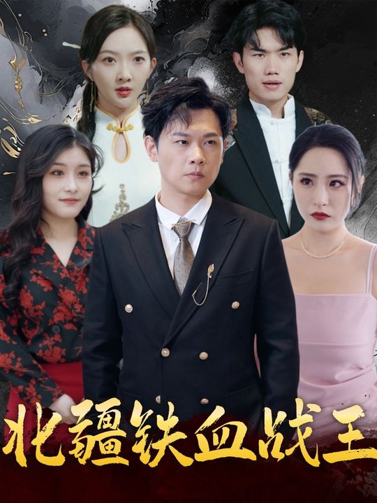 北疆铁血战王封面