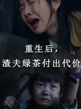 重生后,渣夫绿茶付出代价封面