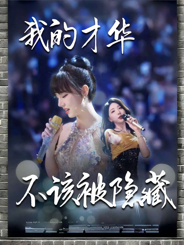 我的才华不该被隐藏封面