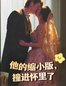 他的缩小版,撞进怀里了封面
