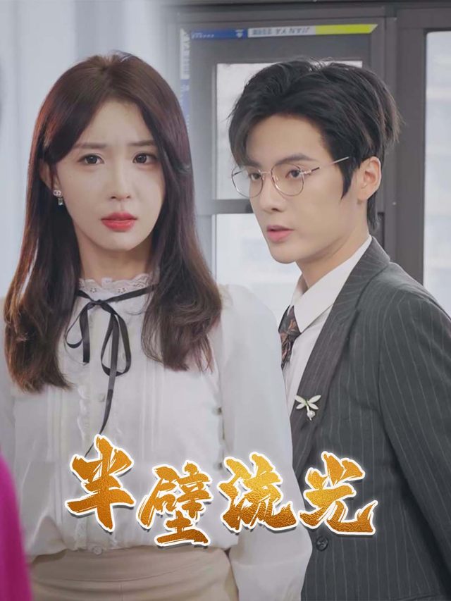 半壁流光封面