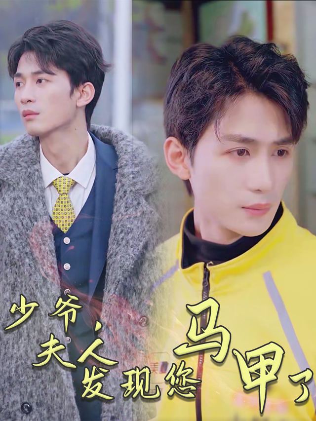 少爷，夫人发现您马甲了封面