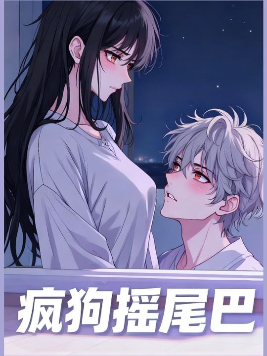 疯狗摇尾巴封面