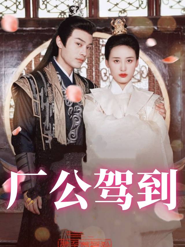 厂公驾到封面