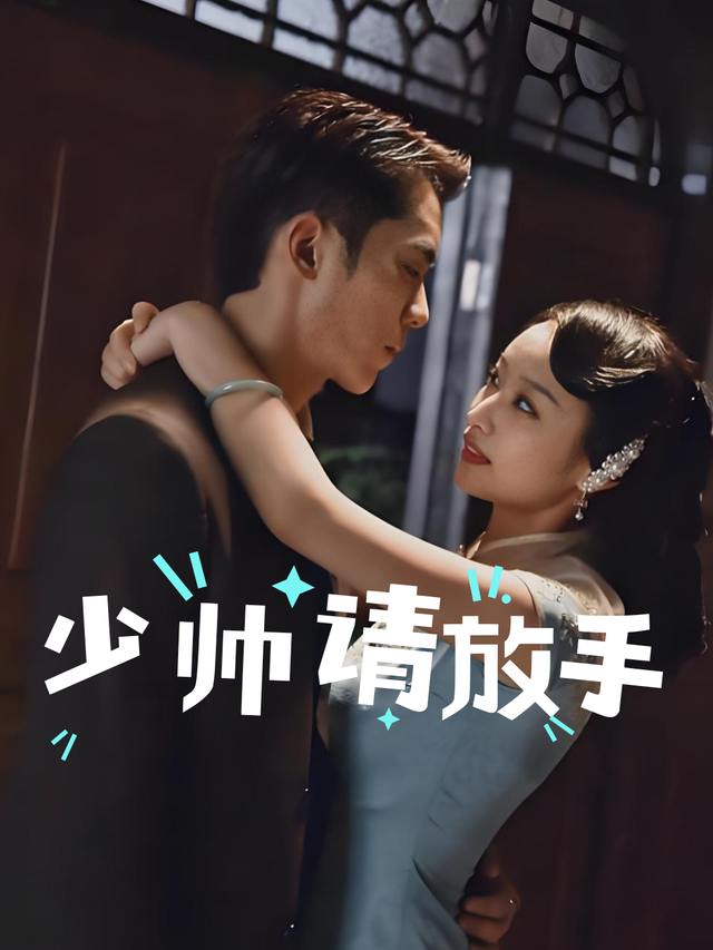少帅请放手封面