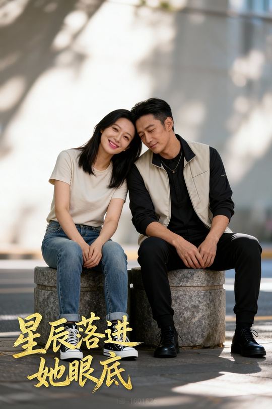 星辰落进她眼底封面