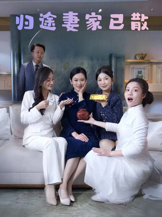 归途妻家已散封面
