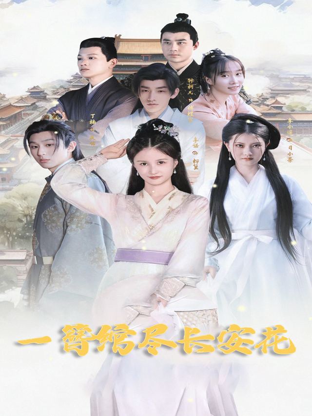 一簪绾尽长安花封面