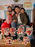 娇妻风华在八零封面