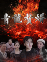 青龙赘婿封面