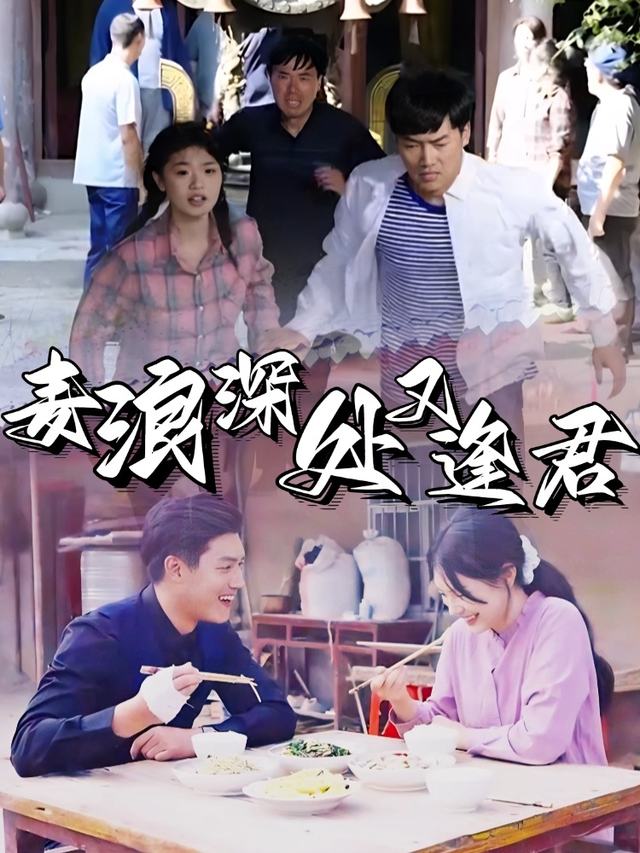 麦浪深处又逢君封面