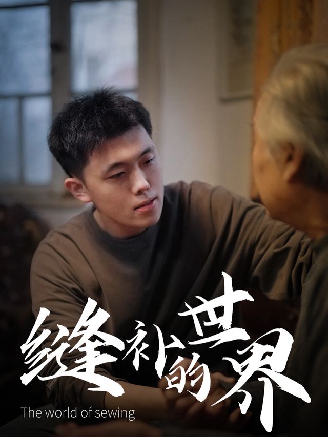 缝补的世界封面