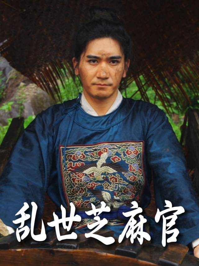 乱世芝麻官封面
