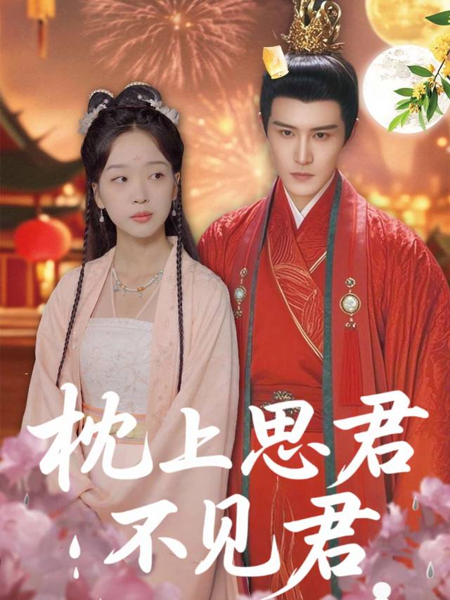 枕上思君不见君封面