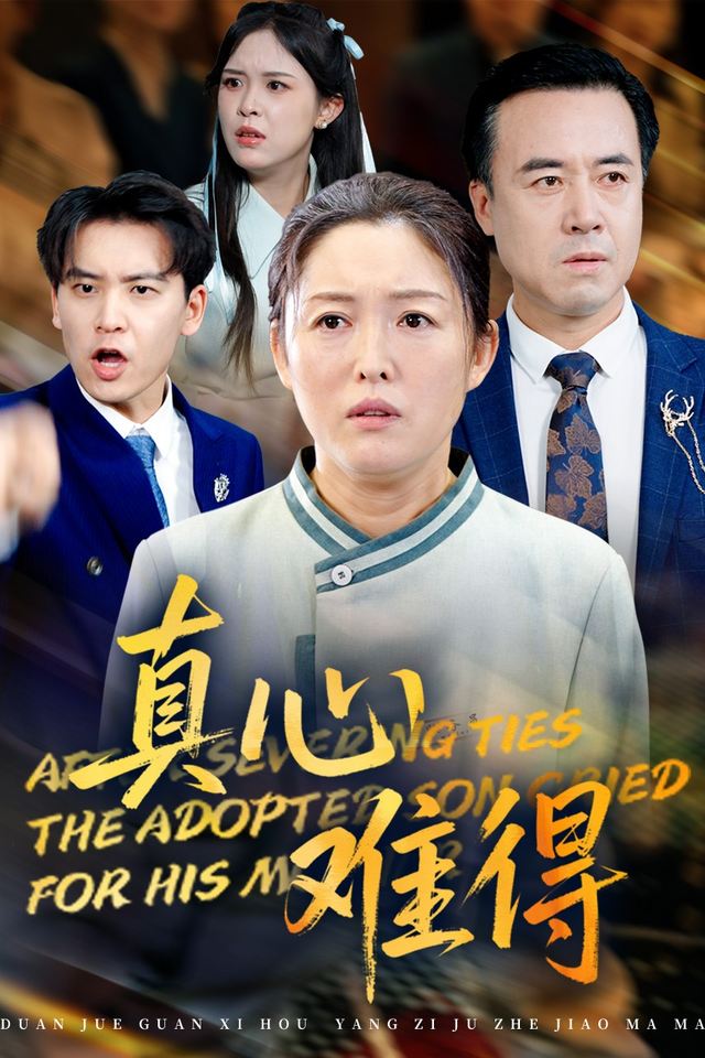 真心难得封面