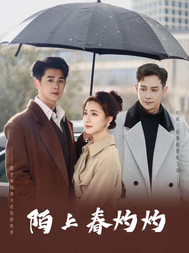 陌上春灼灼封面