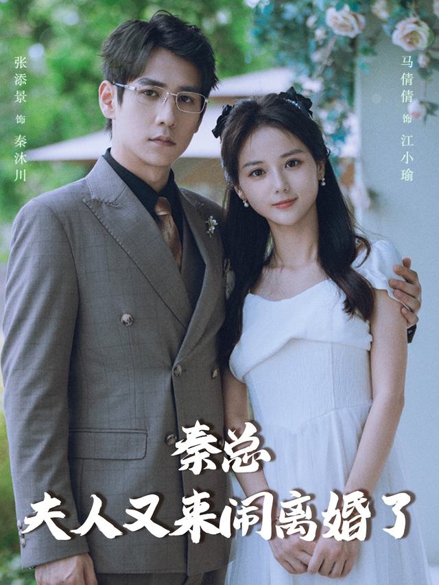 秦总夫人又来闹离婚了封面