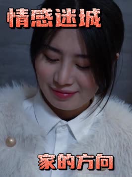 情感迷城·家的方向封面