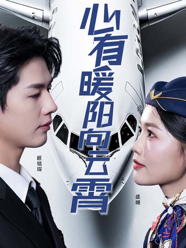 云霄之上:机长的契约新娘封面