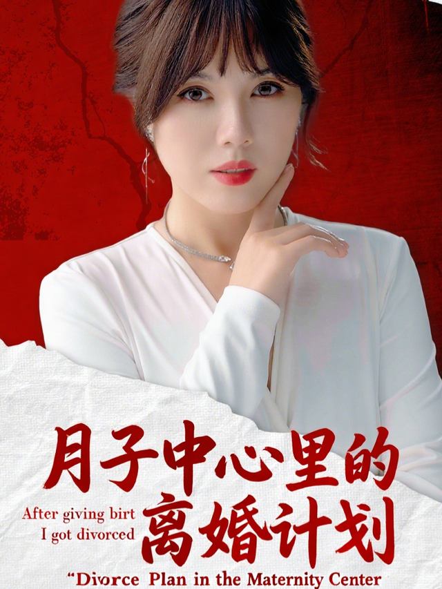 月子中心里的离婚计划封面