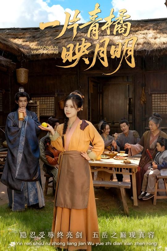 一片青橘映月明封面