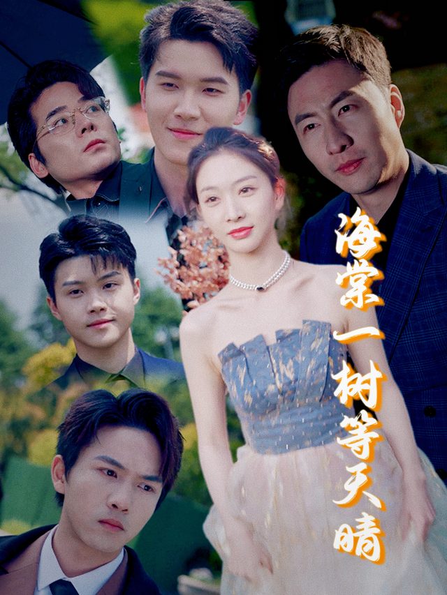海棠一树等天晴封面