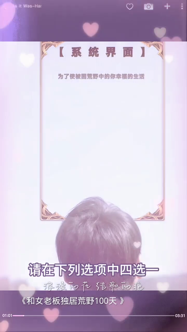 和女老板独居荒野100天封面