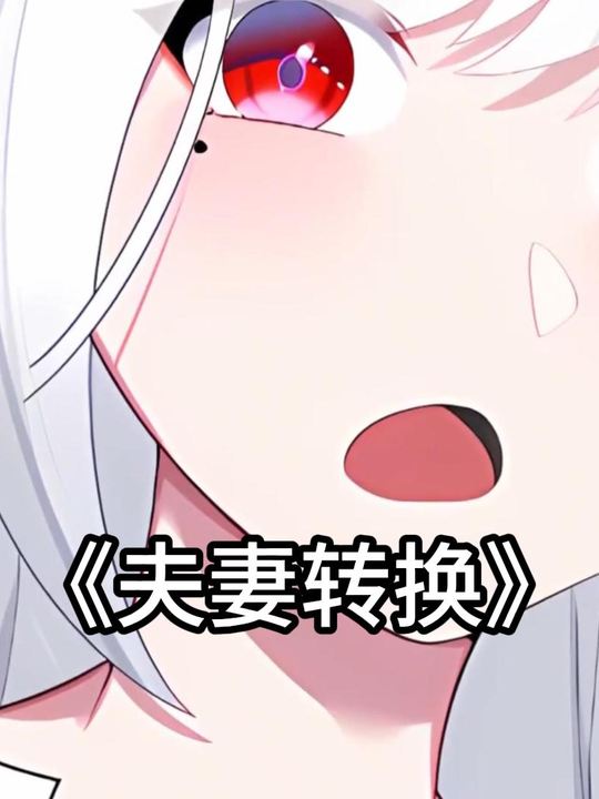 夫妻转换封面