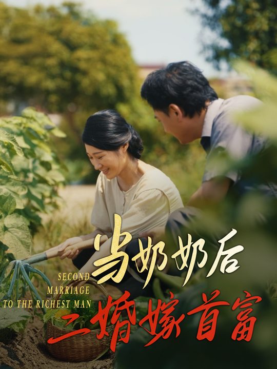 当奶奶后二婚嫁首富封面