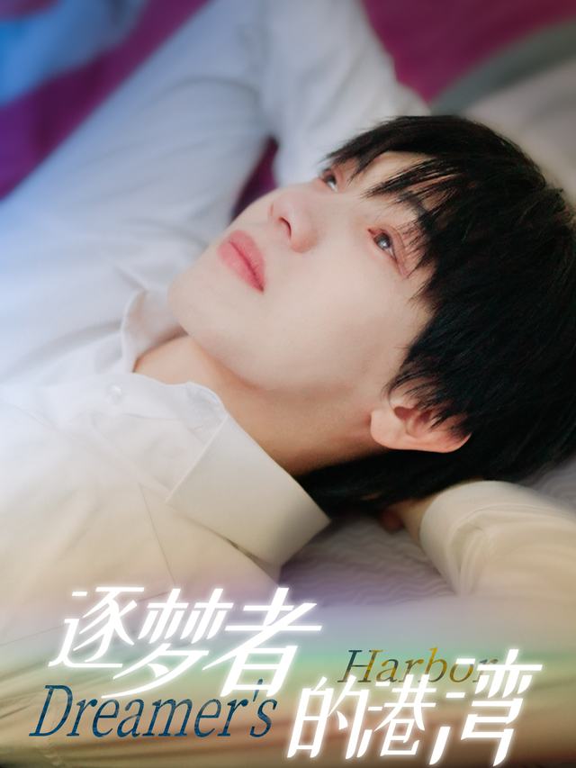 逐梦者的港湾封面