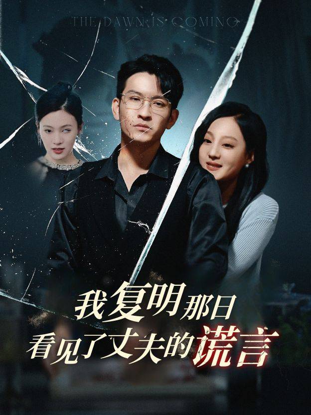 我复明那日,看见了丈夫的谎言封面