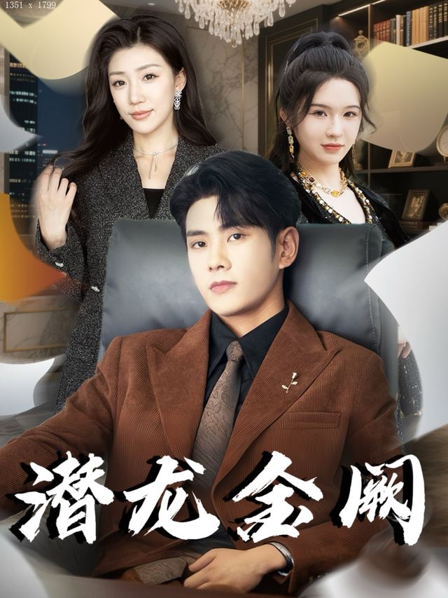 潜龙金阙封面