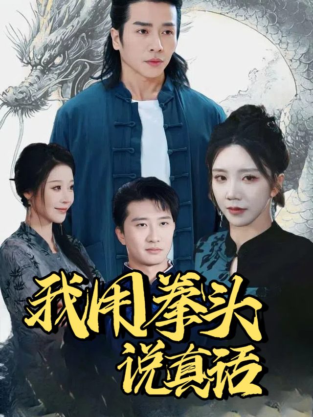我用拳头说真话封面