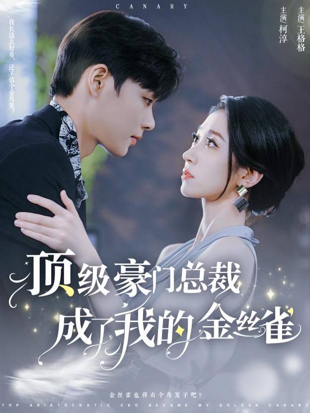 金丝雀掉马倒计时封面