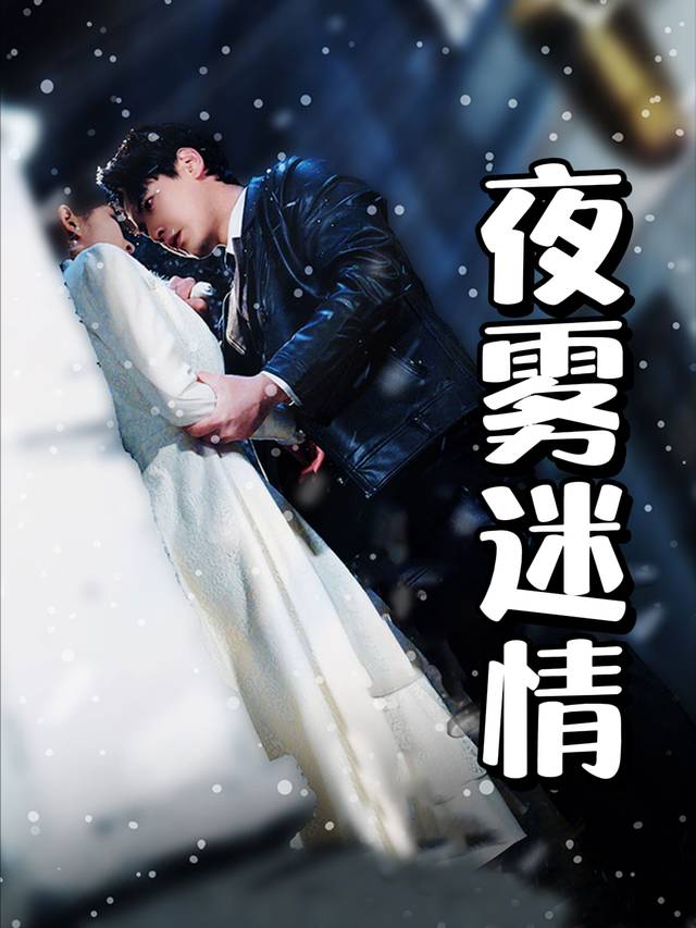 夜雾迷情封面