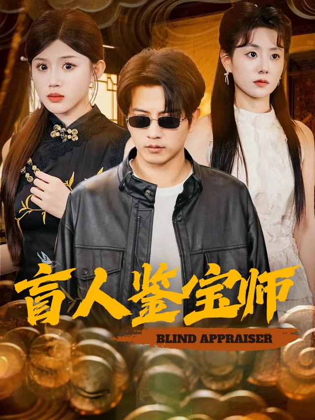 盲人鉴宝师封面