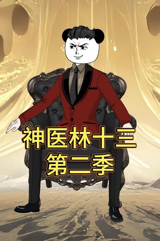 神医林十三第二季封面