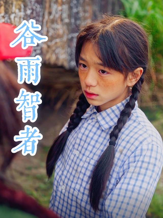 谷雨智者封面