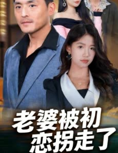老婆被初恋拐走了封面