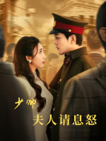 少帅夫人请息怒封面